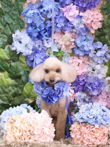 20250606うたちゃん 